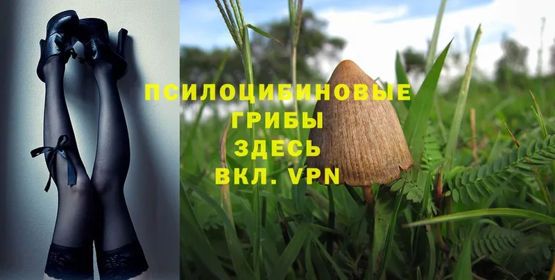 Галлюциногенные грибы Magic Shrooms  Топки 